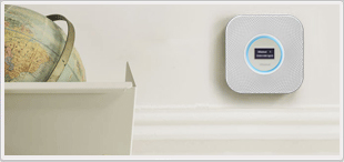 �����솢���܂�����